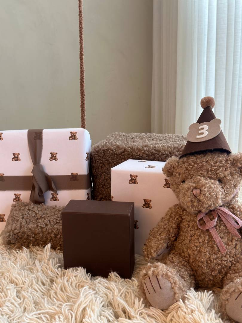 Teddy Bear Gift Packaging – BOSO.CO.IL